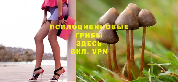 метадон Медногорск