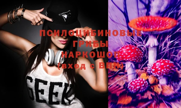 метадон Медногорск