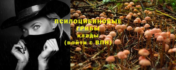 синтетический гашиш Медвежьегорск