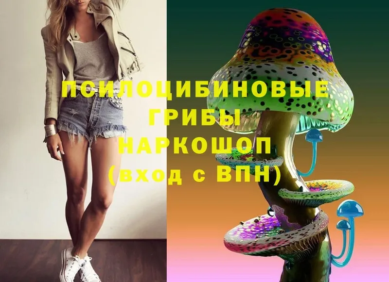 Псилоцибиновые грибы Magic Shrooms  закладка  mega ссылки  Калтан 