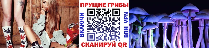 как найти закладки  гидра зеркало  Галлюциногенные грибы MAGIC MUSHROOMS  Калтан 
